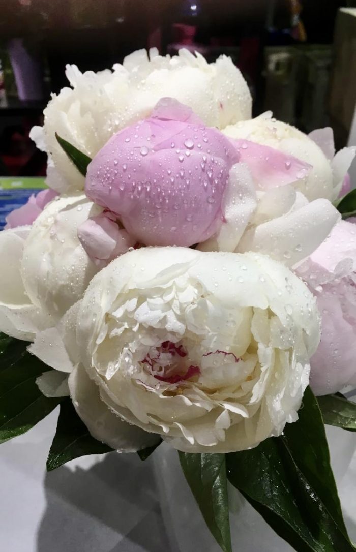 bouquet mariage rose et blanc fleuriste Saint Cloud le Chapelin Fretz